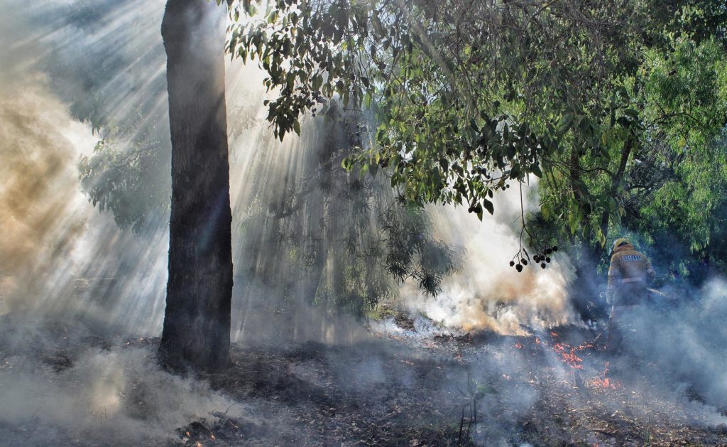 Früheste Aufzeichnungen von Waldbränden geben Aufschluss über die frühere Vegetation und den Sauerstoffgehalt der Erde