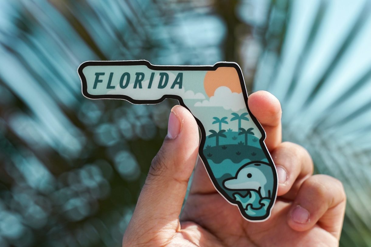 Floridas Wildtierkorridor als Bollwerk gegen Klimawandel Florida
