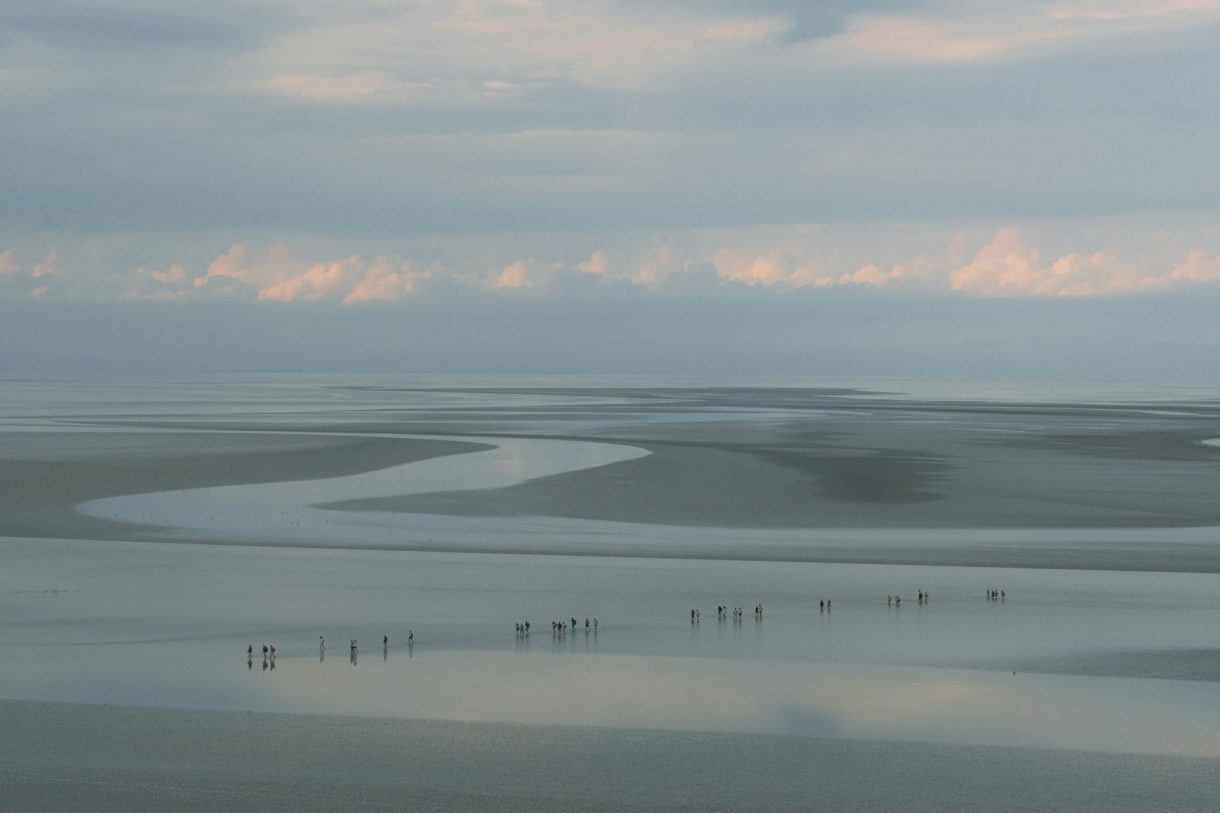 Der Hering kommt früher: Klimawandel beeinflusst die Ankunft im Wattenmeer Wattenmeer
