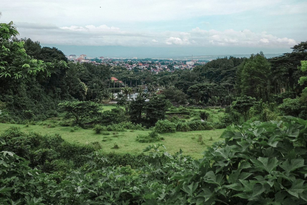 Die wachsende Gefahr von Bränden an der Schnittstelle zwischen Wildnis und urbanen Räumen Wald_Stadt