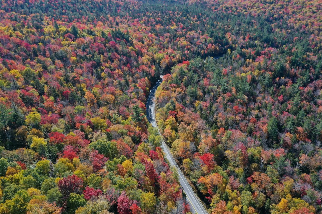 Hurrikane bedrohen kohlenstoffspeichernde Wälder in Neuengland: Eine unterschätzte Gefahr? New-England_Wälder