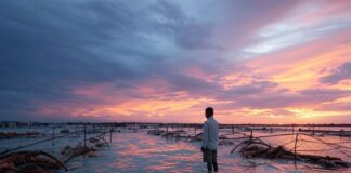 Wenn das Wasser kommt – Australiens Aquakultur kämpft gegen die Flut Aquaculturen_bedroht_Illustration