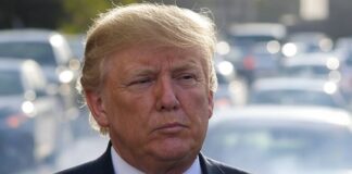 „Es macht keinen Unterschied“ – wirklich? Warum Trumps Aussagen zu Autoabgasen brandgefährlich sind Donald_Trump_Abgase_Verkehr_Illustration