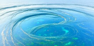 Ozeanwirbel: Die unsichtbaren Versorger der Meere Nahrungsquelle_Ozeanwirbel_Illustration