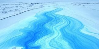 Wenn das Eis schmilzt – Wie der Klimawandel die chemischen Ströme der Arktis umleitet Transpolardrift_Illustration