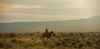 Wenn der Frühling zur Glut wird – Die März-Hitzewelle 2025 in Zentralasien Kasachstan_Hitze