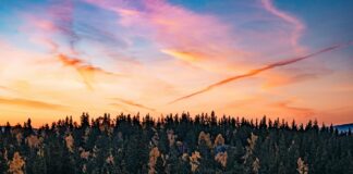 Sibirien aus der Luft: Wie ein Forscherteam mit KI unsere Klimamodelle auf ein neues Level hebt Sibirien