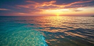 Wenn das Meer sein Licht verliert – Die stille Warnung der Ozeane Ozean_Phytoplankton_Verdunkelung_Illustration