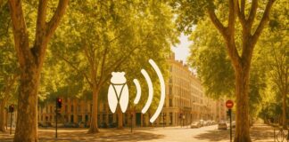 Wenn die Provence in Lyon einzieht – Was uns das Zirpen der Grillen über den Klimawandel verrät Lyon_Grillen_Illustration