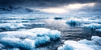 Wenn der Winter versagt – warum das schrumpfende Arktiseis ein stiller Klimaschock ist Schmelzendes-Meereis_Illustration